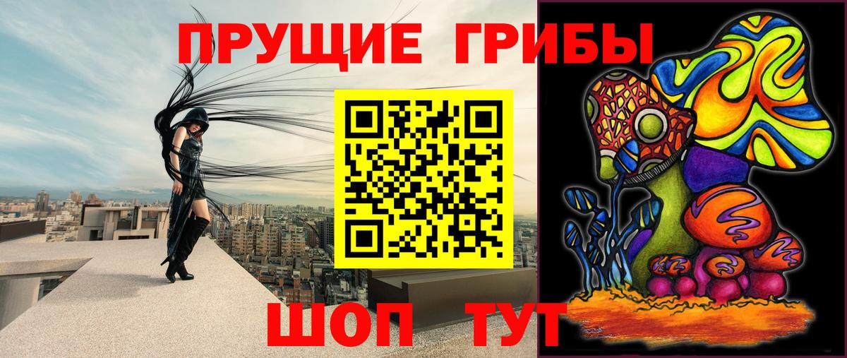 Галлюциногенные грибы прущие грибы  Вход с VPN  Лыткарино 